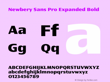 Newbery Sans Pro Expanded Bold Version 1.000图片样张