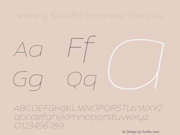 Newbery Sans Pro Expanded Thin Italic Version 1.000 Font Sample