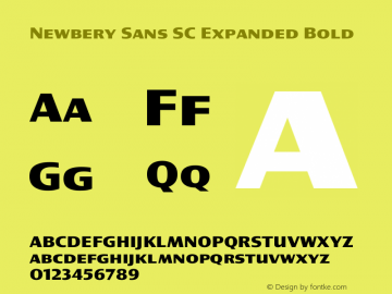 Newbery Sans SC Expanded Bold Version 1.000 Font Sample