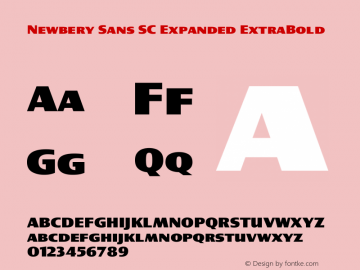 Newbery Sans SC Expanded ExtraBold Version 1.000 Font Sample