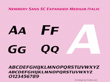 Newbery Sans SC Expanded Medium Italic Version 1.000 Font Sample
