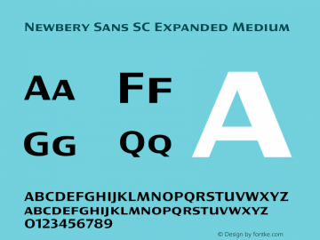 Newbery Sans SC Expanded Medium Version 1.000 Font Sample
