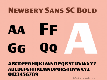 Newbery Sans SC Bold Version 1.000 Font Sample