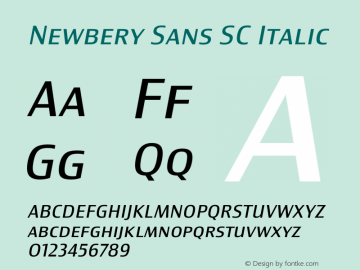 Newbery Sans SC Regular Italic Version 1.000 Font Sample