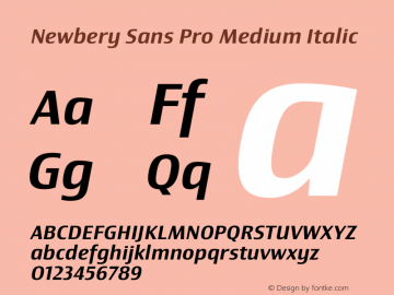 Newbery Sans Pro Medium Italic Version 1.000 Font Sample