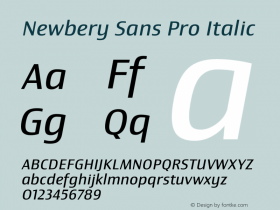 Newbery Sans Pro Regular Italic Version 1.000 Font Sample