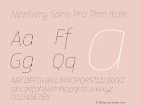 Newbery Sans Pro Thin Italic Version 1.000 Font Sample