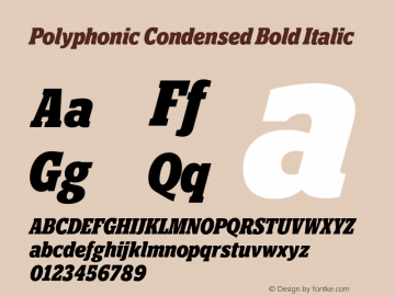 Polyphonic-CondensedBoldItalic Version 1.000;PS 001.000;hotconv 1.0.88;makeotf.lib2.5.64775图片样张