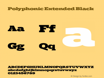 Polyphonic-ExtendedBlack Version 1.000;PS 001.000;hotconv 1.0.88;makeotf.lib2.5.64775图片样张