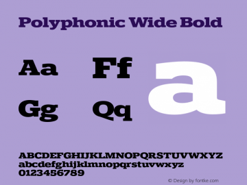 Polyphonic-WideBold Version 1.000;PS 001.000;hotconv 1.0.88;makeotf.lib2.5.64775图片样张