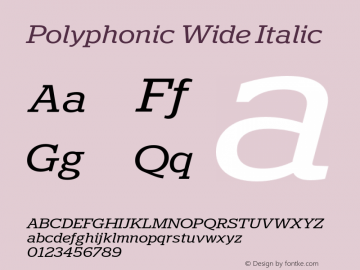 Polyphonic-WideItalic Version 1.000;PS 001.000;hotconv 1.0.88;makeotf.lib2.5.64775图片样张