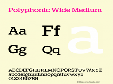 Polyphonic-WideMedium Version 1.000;PS 001.000;hotconv 1.0.88;makeotf.lib2.5.64775图片样张