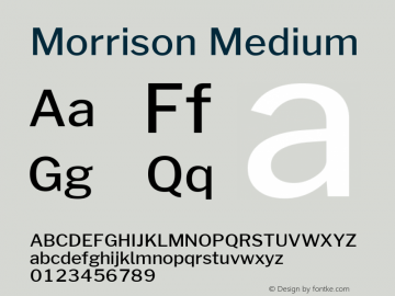 Morrison Medium Version 1.100;PS 001.100;hotconv 1.0.88;makeotf.lib2.5.64775; ttfautohint (v1.6) Font Sample