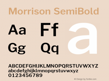 Morrison SemiBold Version 1.100;PS 001.100;hotconv 1.0.88;makeotf.lib2.5.64775; ttfautohint (v1.6) Font Sample