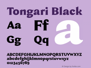 Tongari-Black Version 1.1 | Demo图片样张