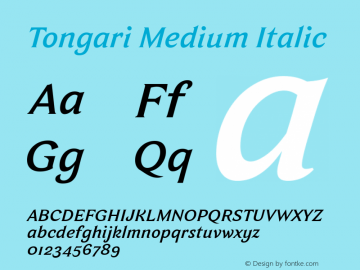 Tongari-MediumItalic Version 1.1 | Demo图片样张