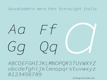 Sauce Code Pro ExtraLight Italic Nerd Font Complete Version 1.050;PS 1.000;hotconv 16.6.51;makeotf.lib2.5.65220图片样张