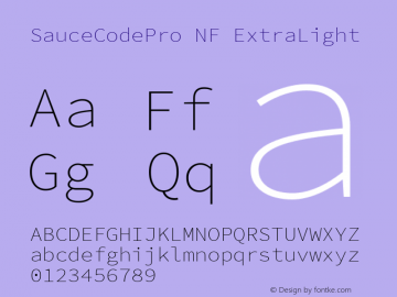 Sauce Code Pro ExtraLight Nerd Font Complete Windows Compatible Version 2.010;PS 1.000;hotconv 1.0.84;makeotf.lib2.5.63406 Font Sample