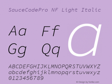 Sauce Code Pro Light Italic Nerd Font Complete Windows Compatible Version 1.050;PS 1.000;hotconv 16.6.51;makeotf.lib2.5.65220 Font Sample