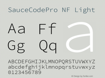 Sauce Code Pro Light Nerd Font Complete Windows Compatible Version 2.010;PS 1.000;hotconv 1.0.84;makeotf.lib2.5.63406 Font Sample