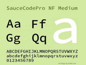Sauce Code Pro Medium Nerd Font Complete Windows Compatible Version 2.010;PS 1.000;hotconv 1.0.84;makeotf.lib2.5.63406 Font Sample