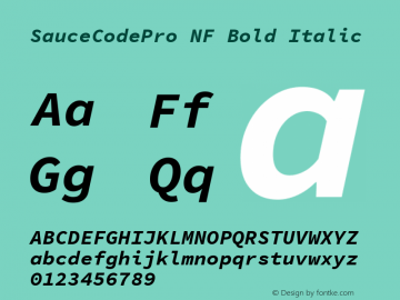 Sauce Code Pro Bold Italic Nerd Font Complete Windows Compatible Version 1.050;PS 1.000;hotconv 16.6.51;makeotf.lib2.5.65220 Font Sample