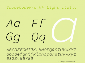 Sauce Code Pro Light Italic Nerd Font Complete Mono Windows Compatible Version 1.050;PS 1.000;hotconv 16.6.51;makeotf.lib2.5.65220 Font Sample