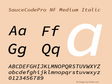Sauce Code Pro Medium Italic Nerd Font Complete Mono Windows Compatible Version 1.050;PS 1.000;hotconv 16.6.51;makeotf.lib2.5.65220图片样张