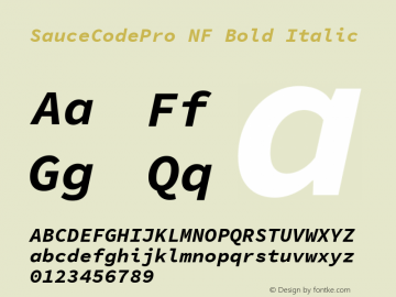 Sauce Code Pro Bold Italic Nerd Font Complete Mono Windows Compatible Version 1.050;PS 1.000;hotconv 16.6.51;makeotf.lib2.5.65220图片样张