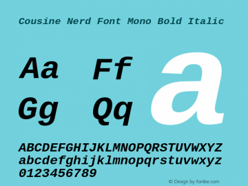 Cousine Bold Italic Nerd Font Complete Mono Version 1.21图片样张