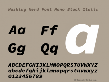 Hasklug Black Italic Nerd Font Complete Mono Version 1.050;PS 1.0;hotconv 16.6.51;makeotf.lib2.5.65220 Font Sample