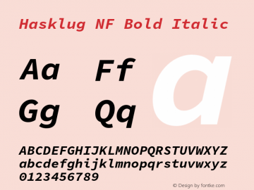 Hasklug Bold Italic Nerd Font Complete Mono Windows Compatible Version 1.050;PS 1.0;hotconv 16.6.51;makeotf.lib2.5.65220图片样张