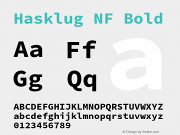 Hasklug Bold Nerd Font Complete Mono Windows Compatible Version 2.030;PS 1.0;hotconv 16.6.51;makeotf.lib2.5.65220 Font Sample