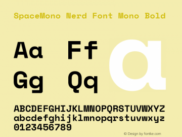 Space Mono Bold Nerd Font Complete Mono Version 1.000;PS 1.000;hotconv 1.0.81;makeotf.lib2.5.63406 Font Sample