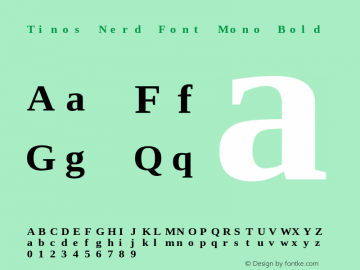 Tinos Bold Nerd Font Complete Mono Version 1.23 Font Sample