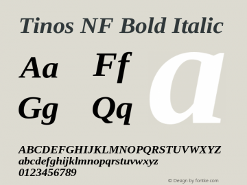 Tinos Bold Italic Nerd Font Complete Windows Compatible Version 1.23 Font Sample