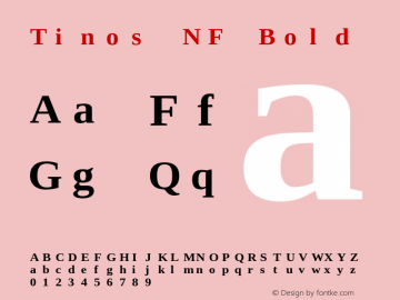 Tinos Bold Nerd Font Complete Mono Windows Compatible Version 1.23 Font Sample