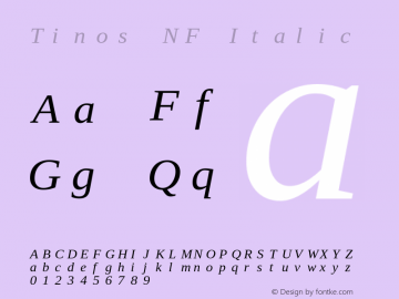 Tinos Italic Nerd Font Complete Mono Windows Compatible Version 1.23 Font Sample