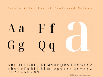 Noto Serif Display Condensed Medium Nerd Font Complete Mono Windows Compatible Version 2.000;GOOG;noto-source:20170915:90ef993387c0; ttfautohint (v1.7)图片样张