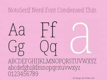 Noto Serif Condensed Thin Nerd Font Complete Version 2.000;GOOG;noto-source:20170915:90ef993387c0; ttfautohint (v1.7)图片样张