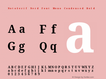 Noto Serif Condensed Bold Nerd Font Complete Mono Version 2.000;GOOG;noto-source:20170915:90ef993387c0; ttfautohint (v1.7) Font Sample