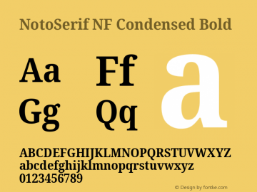 Noto Serif Condensed Bold Nerd Font Complete Windows Compatible Version 2.000;GOOG;noto-source:20170915:90ef993387c0; ttfautohint (v1.7) Font Sample