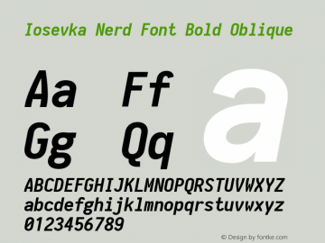 Iosevka Term Bold Oblique Nerd Font Complete 1.14.0; ttfautohint (v1.7.9-c794) Font Sample
