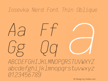Iosevka Term Thin Oblique Nerd Font Complete 1.14.0; ttfautohint (v1.7.9-c794) Font Sample