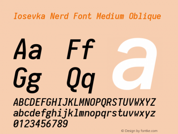 Iosevka Medium Oblique Nerd Font Complete 1.14.0; ttfautohint (v1.7.9-c794) Font Sample