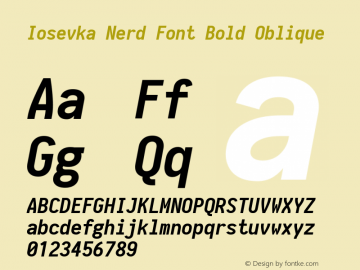 Iosevka Bold Oblique Nerd Font Complete 1.14.0; ttfautohint (v1.7.9-c794) Font Sample