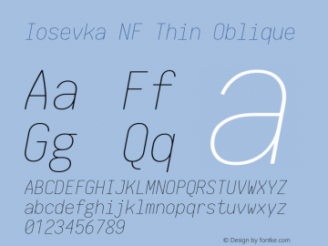 Iosevka Thin Oblique Nerd Font Complete Windows Compatible 1.14.0; ttfautohint (v1.7.9-c794) Font Sample