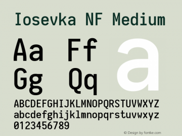 Iosevka Medium Nerd Font Complete Windows Compatible 1.14.0; ttfautohint (v1.7.9-c794)图片样张