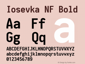 Iosevka Term Bold Nerd Font Complete Windows Compatible 1.14.0; ttfautohint (v1.7.9-c794) Font Sample