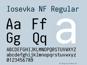 Iosevka Nerd Font Complete Windows Compatible 1.14.0; ttfautohint (v1.7.9-c794)图片样张